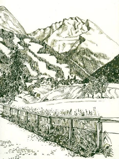 Gestrüpp 2