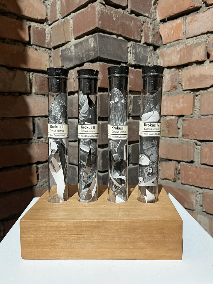 Apothekerfalschen, Pigmente, Glaskasten